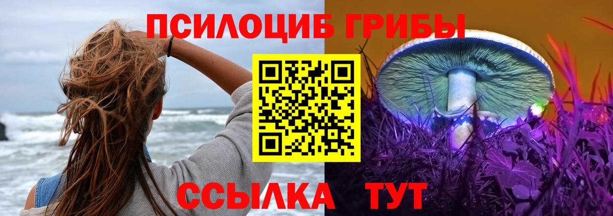 Псилоцибиновые грибы мицелий Троицк